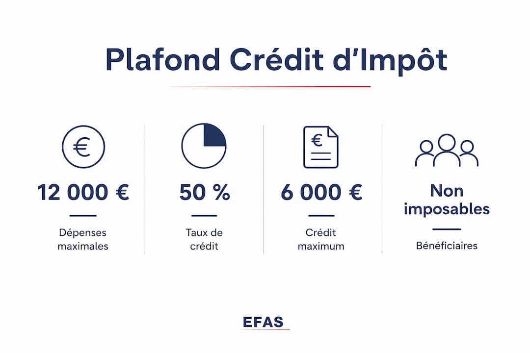 Infographie présentant les plafonds du crédit d'impôt SAP par profil de foyer